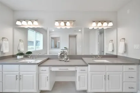 23935 Birchwood Lake Lane Katy TX 77493
