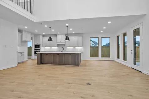 10711 Wild Blue Lupine Cypress TX 77433