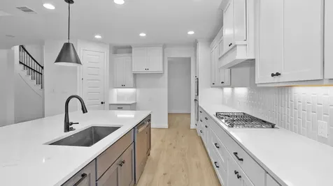 10711 Wild Blue Lupine Cypress TX 77433