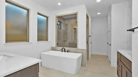 10711 Wild Blue Lupine Cypress TX 77433
