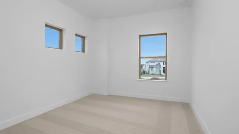 10711 Wild Blue Lupine Cypress TX 77433