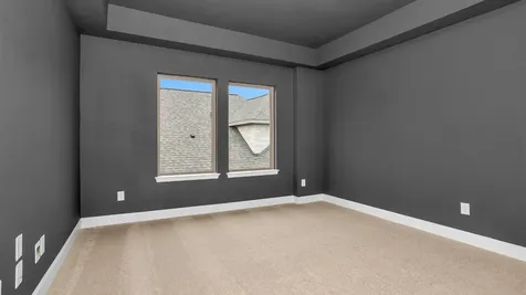 10711 Wild Blue Lupine Cypress TX 77433