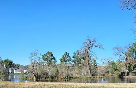 11827 Water Oak Drive Magnolia TX 77354