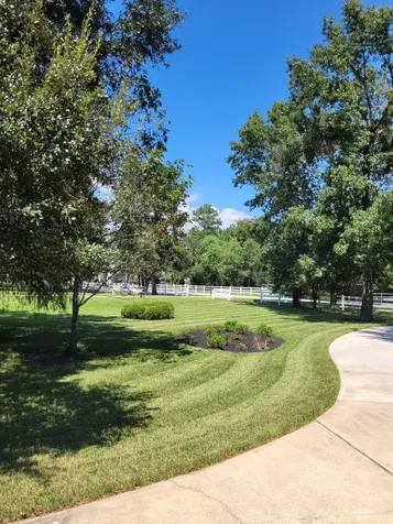 11827 Water Oak Drive Magnolia TX 77354
