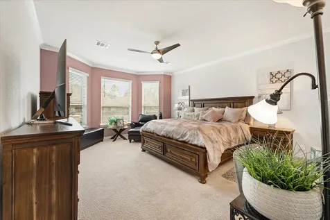 133 Pepper Grass Place Montgomery TX 77316