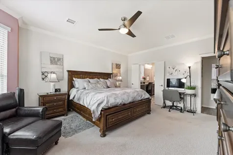 133 Pepper Grass Place Montgomery TX 77316