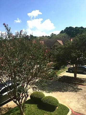 2402 Sycamore Avenue B3 Huntsville TX 77320