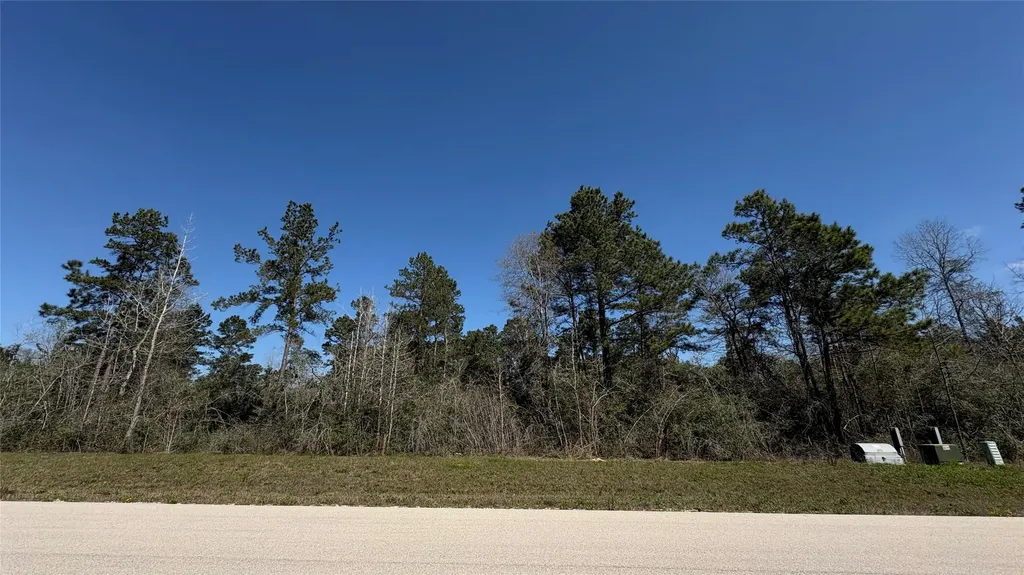 126 Great Plains Way New Waverly TX 77358