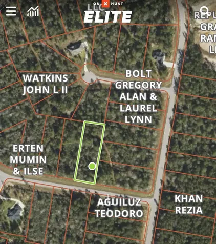 126 Great Plains Way New Waverly TX 77358