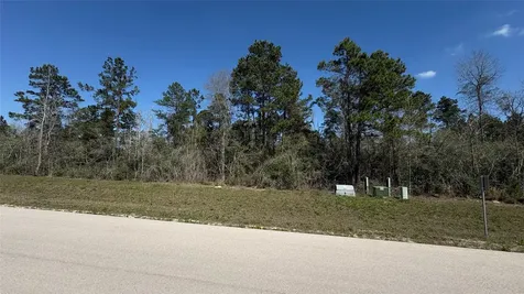 126 Great Plains Way New Waverly TX 77358