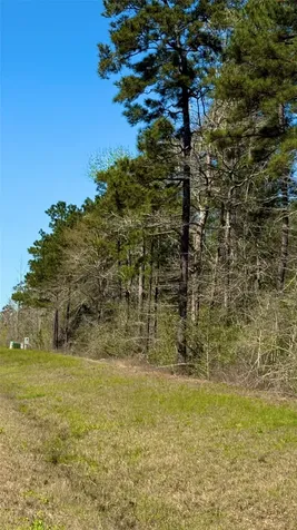 126 Great Plains Way New Waverly TX 77358
