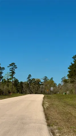 126 Great Plains Way New Waverly TX 77358