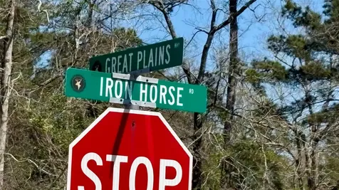 126 Great Plains Way New Waverly TX 77358