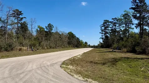 126 Great Plains Way New Waverly TX 77358