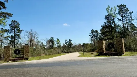 126 Great Plains Way New Waverly TX 77358