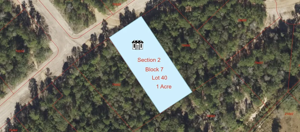 227 Eden Court New Waverly TX 77358
