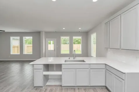 18538 Athena Flower Drive Fresno TX 77545