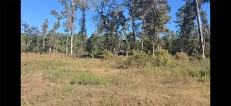 Tract C-1 Gaff Road Magnolia TX 77355