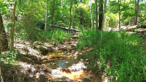 Tbd Cr 2125 Crockett TX 75835
