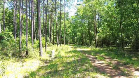 Tbd Cr 2125 Crockett TX 75835