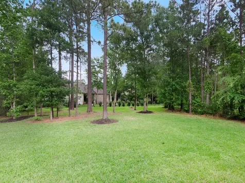 12118 S Tara Plantaton Drive Tomball TX 77375