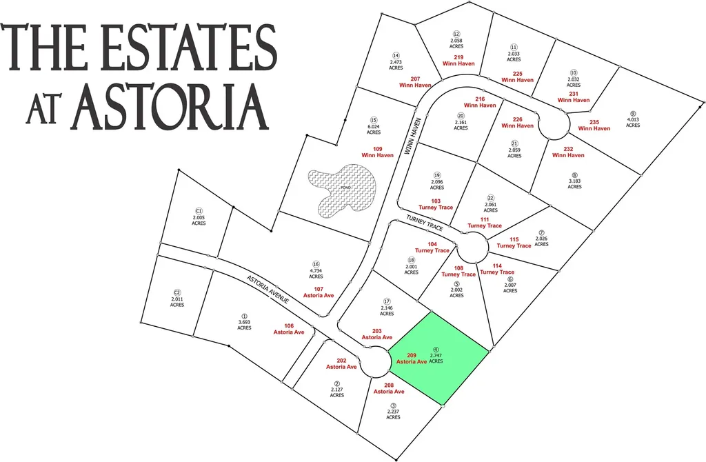 209 Astoria Avenue Round Top TX 78954