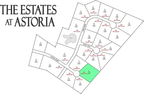 209 Astoria Avenue Round Top TX 78954