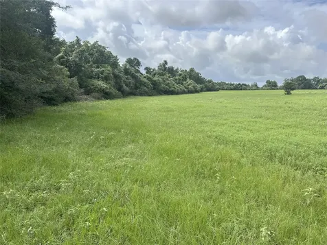 Tbd Holik Road Hempstead TX 77445