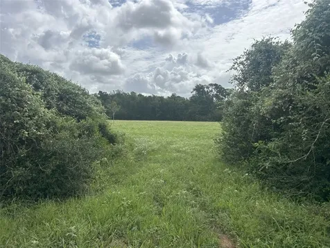 Tbd Holik Road Hempstead TX 77445