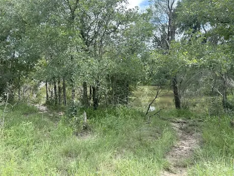 Tbd Holik Road Hempstead TX 77445