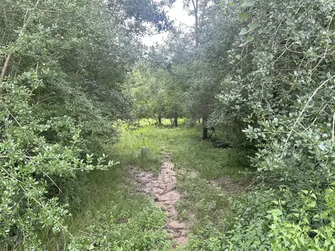 Tbd Holik Road Hempstead TX 77445