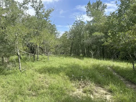 Tbd Holik Road Hempstead TX 77445