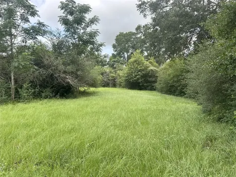 Tbd Holik Road Hempstead TX 77445