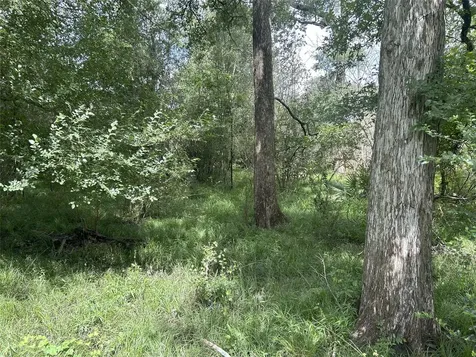 Tbd Holik Road Hempstead TX 77445
