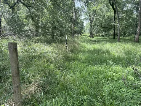 Tbd Holik Road Hempstead TX 77445