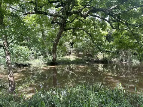 Tbd Holik Road Hempstead TX 77445