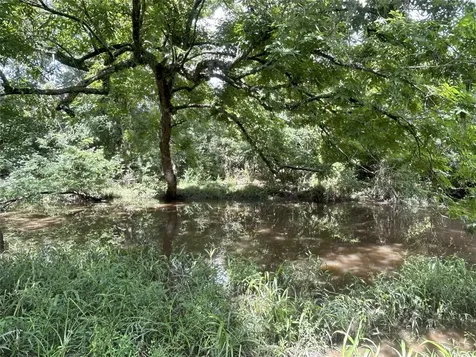 Tbd Holik Road Hempstead TX 77445