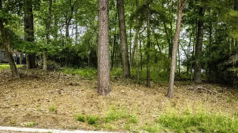 Tbd La Jolla Court Huntsville TX 77320