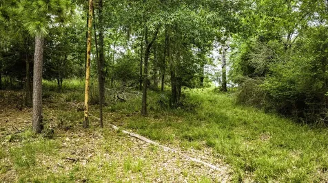 Tbd La Jolla Court Huntsville TX 77320