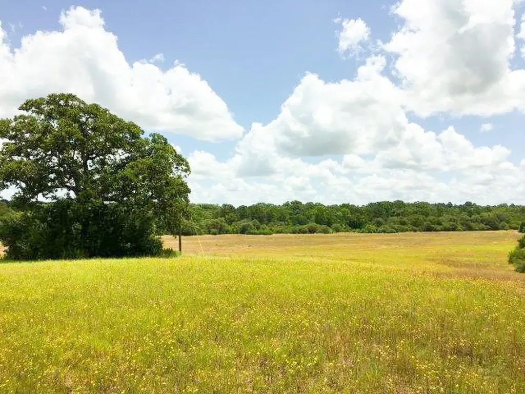 11695 Fm 1511 Oakwood TX 75831