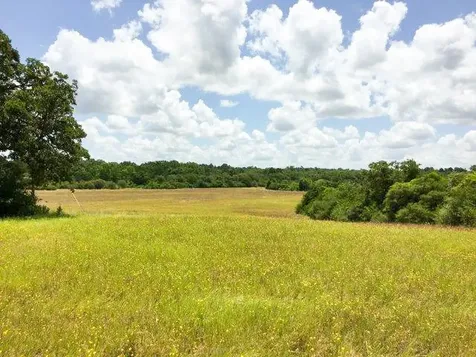 11695 Fm 1511 Oakwood TX 75831