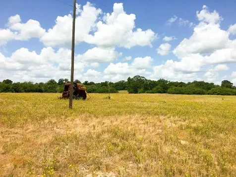 11695 Fm 1511 Oakwood TX 75831