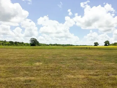 11695 Fm 1511 Oakwood TX 75831