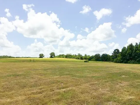 11695 Fm 1511 Oakwood TX 75831