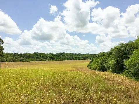 11695 Fm 1511 Oakwood TX 75831