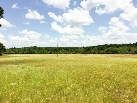 11695 Fm 1511 Oakwood TX 75831