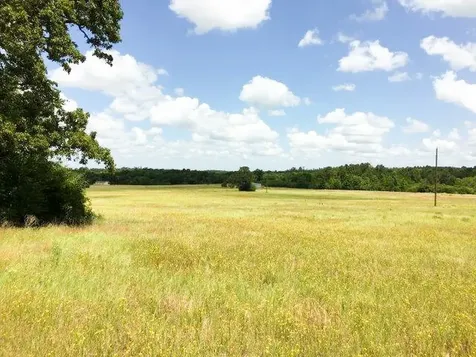 11695 Fm 1511 Oakwood TX 75831