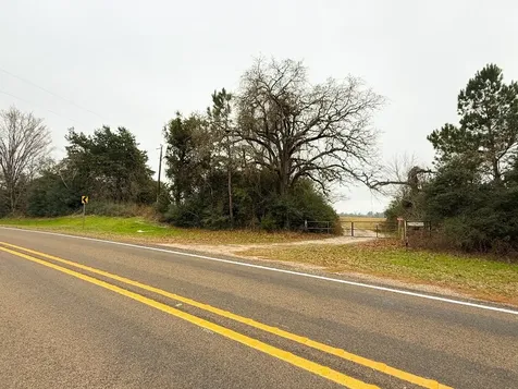 11695 Fm 1511 Oakwood TX 75831