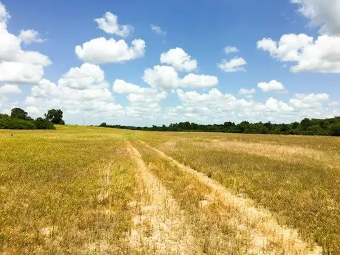 11695 Fm 1511 Oakwood TX 75831