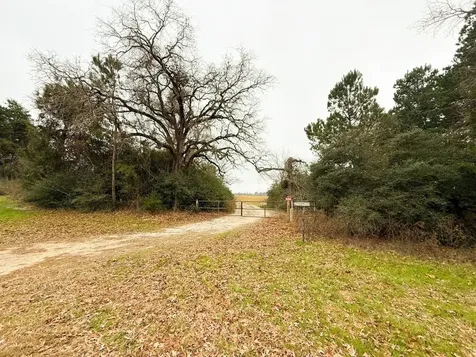 11695 Fm 1511 Oakwood TX 75831